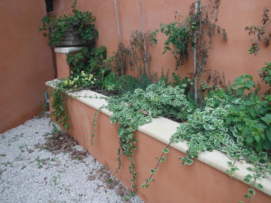 Appartement Le Romarin Mallemort Esterno foto